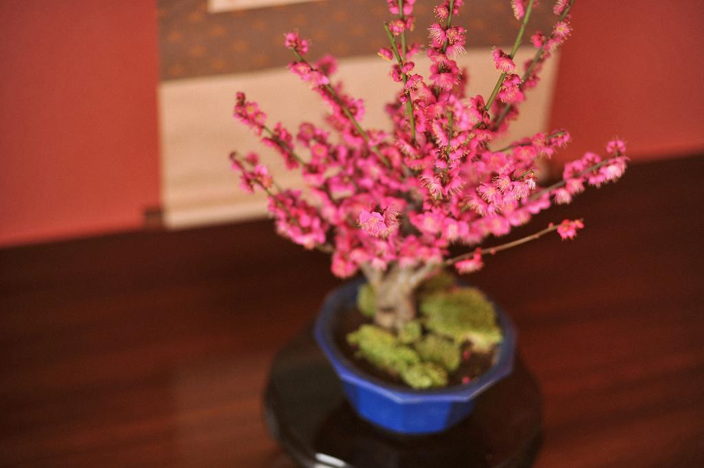 אטאמי Onsen Hostel Hinoemi חדר תמונה